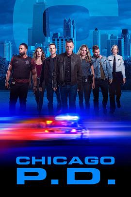 芝加哥警署 第七季第08集