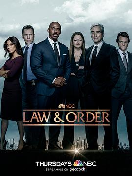 法律与秩序 第二十二季第14集