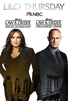 法律与秩序：组织犯罪第二季第11集