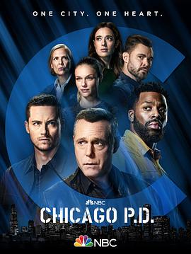芝加哥警署第九季第7集