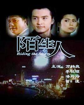 陌生人1999(全集)